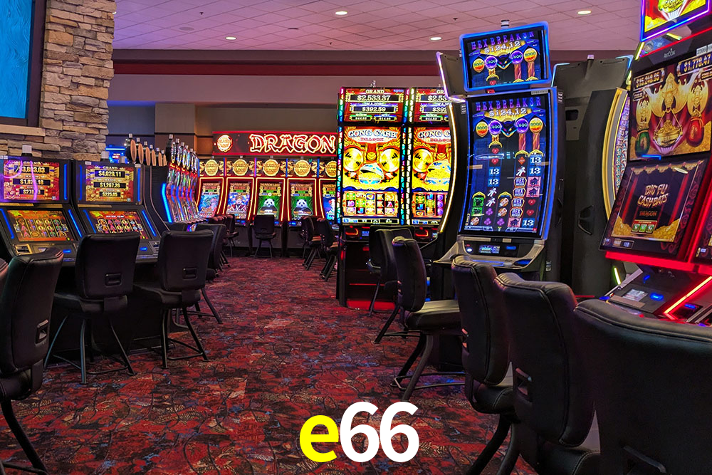 Platform Technology e66